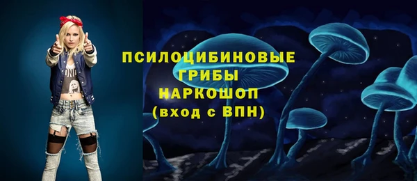 индика Балахна