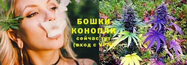 индика Балахна