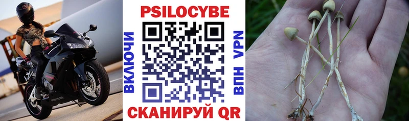 Псилоцибиновые грибы прущие грибы  Ялуторовск 